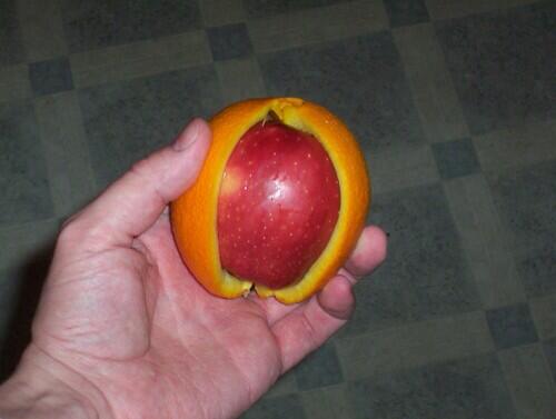 Ookay's tweet image. THIS IS WHY I HAVE TRUST ISSUES