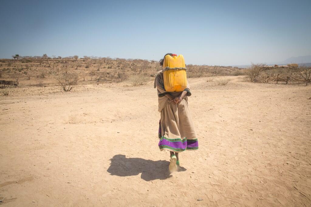 Permalien de l'image intégrée