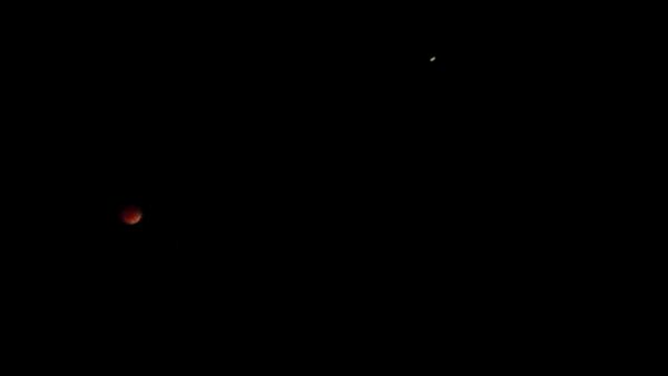TheRealAZJhawks's tweet image. Somebody get the moon a bandaid, it&apos;s bleeding! #EclipseHumor #BloodMoon