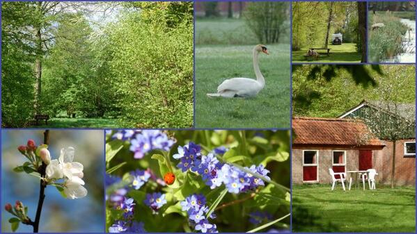 Het wordt hier steeds licht groener !  Huuraccommodaties Pasen en Meivakantie: min. 3 nachten= 15% korting!