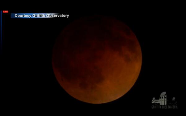 MindofAhmed's tweet image. #BloodMoonEclipse #Eclipse2014 #bloodmoon 
.