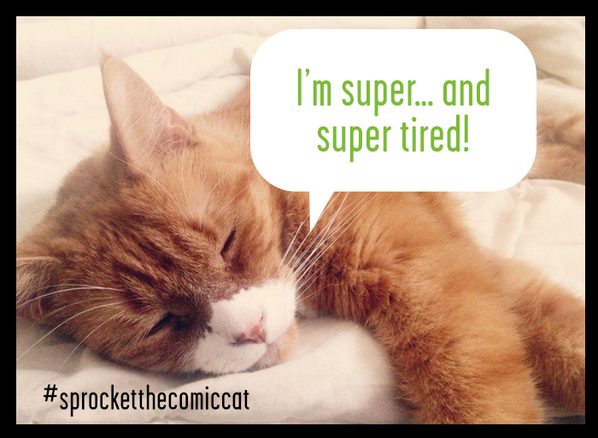 KingdomsInPeril's tweet image. Just backed kck.st/1li9VNN #spokanecomicon @spokanecomicon #comics #Spokane #sprocketthecomiccat