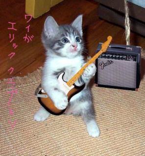hien0131's tweet photo. 可愛すぎwww http://t.co/rIOpn9nsip