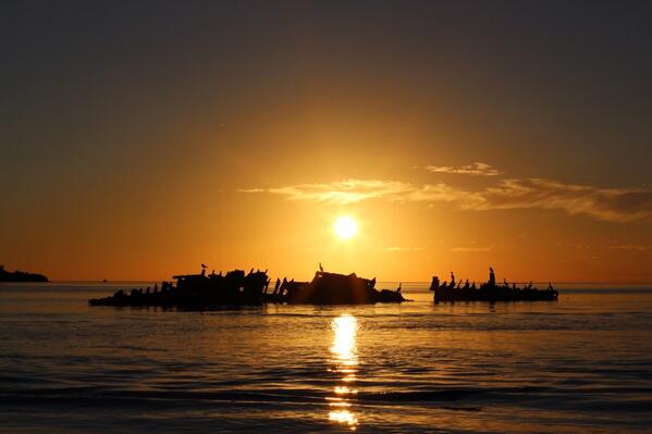 Ashley Puga tweet media