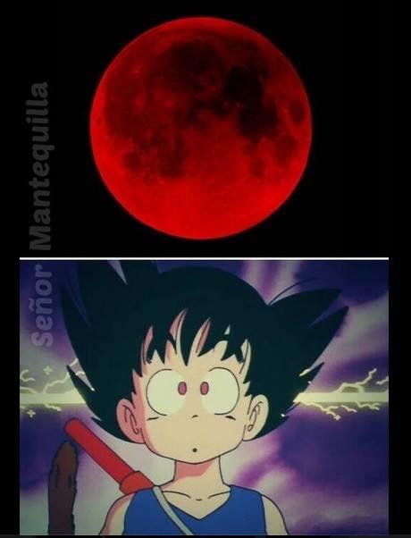 Pablo Llopiz (@PabloLlopiz1) / viendo la luna Pablo Llopiz (@PabloLlopiz1) /
