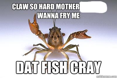 ExoskeletonLife's tweet photo. Wassup Twitter! The crayfish has arrived. #DominatingLife http://t.co/gVrMXAn5o1