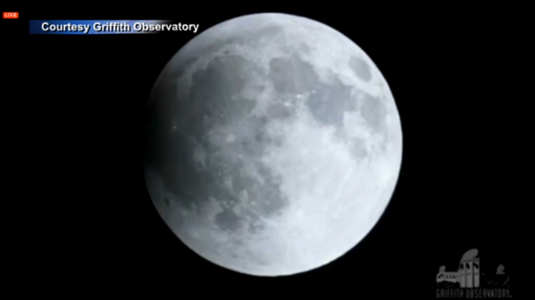 CNNEE's tweet photo. Ya puedes ver EN VIVO la transmisión de la 'luna de sangre' en este enlace: http://t.co/XYm7PYPveL http://t.co/fhbuf07Mst