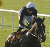 <a href="/VerrazanoColt/">Verrazano</a> Verrazano Working at the Curragh Sunday 13th April 2014 and looked very good worked well with Massai