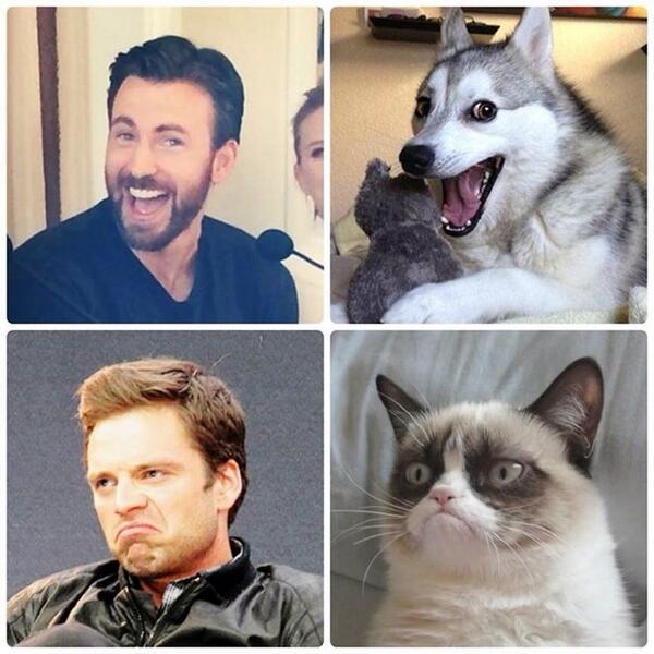 81sevans's tweet photo. Hahahahahaha cute #ChrisEvans and #SebastianStan http://t.co/I4mSaOzNir