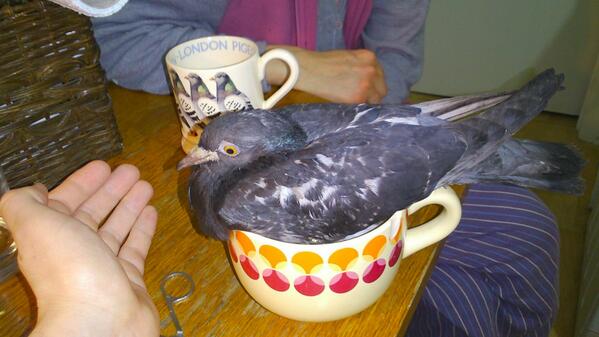 Warming up my legs before they remove my strings on my leg :)