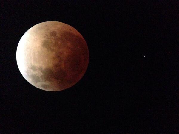 SciEdSpence's tweet image. #austinonomy #bloodmoon #AprilEclipse #WOW
