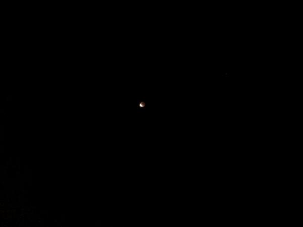 I caught it. Sorry it's so small. (2:46am)#BloodMoonEclipse #OnceInALifetime #tiredainttheword