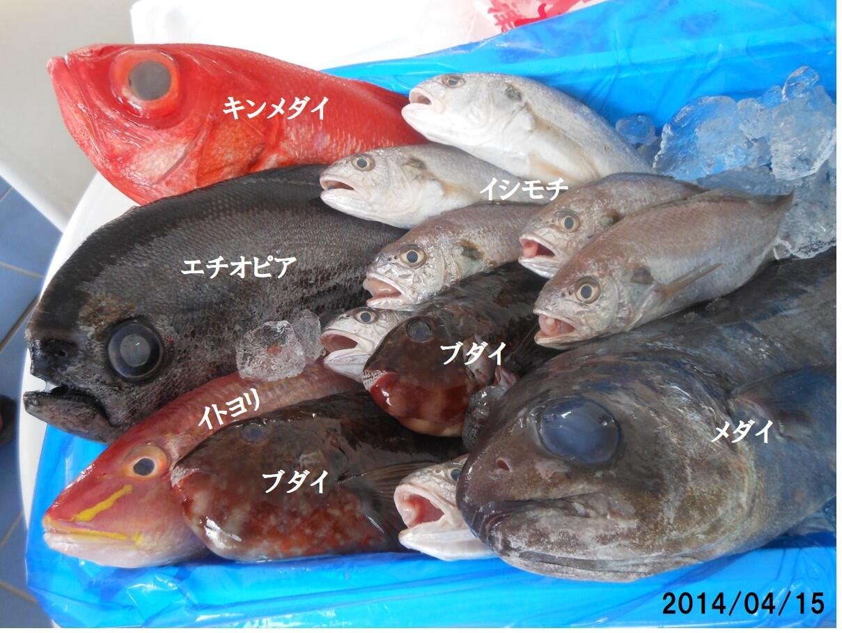 お魚倶楽部はま 沼津からキンメダイ エチオピア イトヨリ ブダイ イシモチメダイを入荷しました Http T Co Zygcmnsshx Twitter