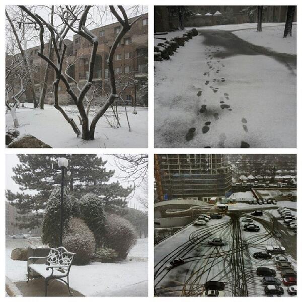 dabydeen's tweet image. #CanadaSpring