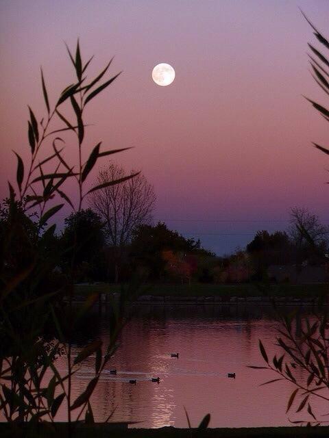 positividade_7's tweet photo. Lugares increíbles para poder relajarse http://t.co/DK1BLBrlqg