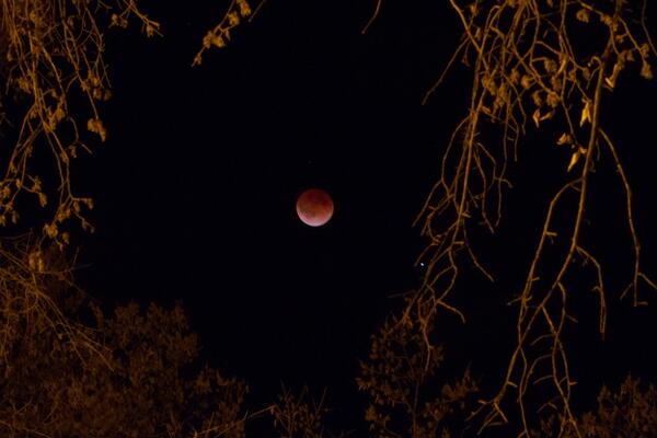 Sutton Bay tweet media