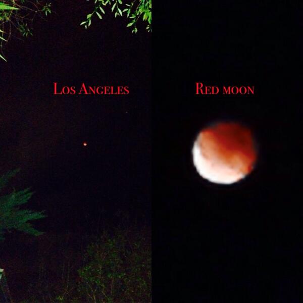 rickyserio87's tweet photo. Well this is what I stayed up for it's the best picture I could get of the #redmoon in #LA very cool #LunarEclipse. http://t.co/3BJ28E4XpD