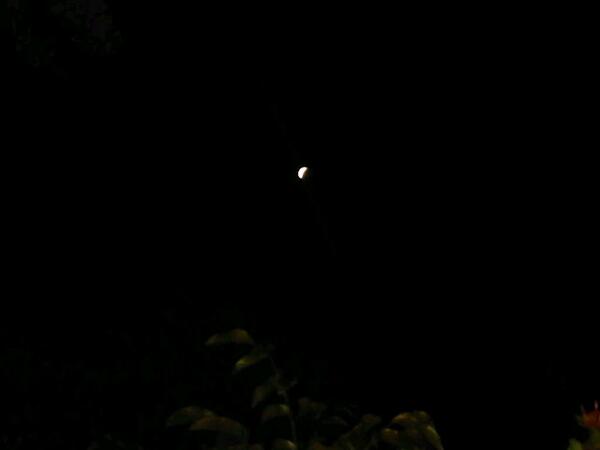 LorenaPertuz's tweet photo. Así se vio el eclipse desde mi BB. http://t.co/Z8ceSQi9mY