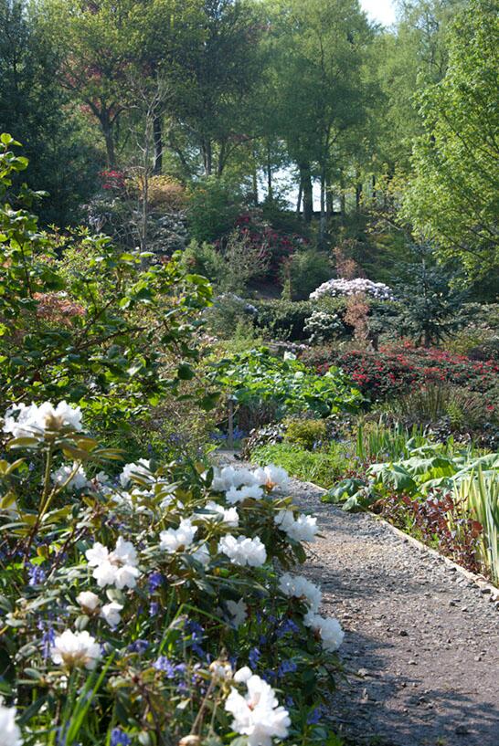 RichardRGPR's tweet photo. Visit the Himalayan Garden near Ripon this Easter. Many beautiful walks, lakes, sculptures @RiponRover @DiscoverRipon http://t.co/MktMwClNNL
