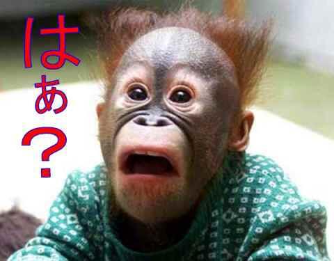 hien0131's tweet photo. はぁ？ http://t.co/8vcek5gZpJ