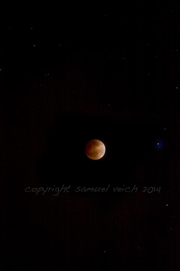 WildReflections's tweet image. #BloodMoonEclipse #Eclipse2014 #LunarEclipse