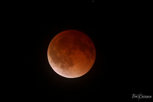 TimCatteraPhoto's tweet image. During the #bloodmoon #eclipse #Eclipse2014