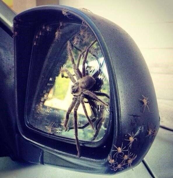 Joebluesock's tweet photo. @TripleMRushHour hers a photo for JB http://t.co/RGMlRTCQwZ