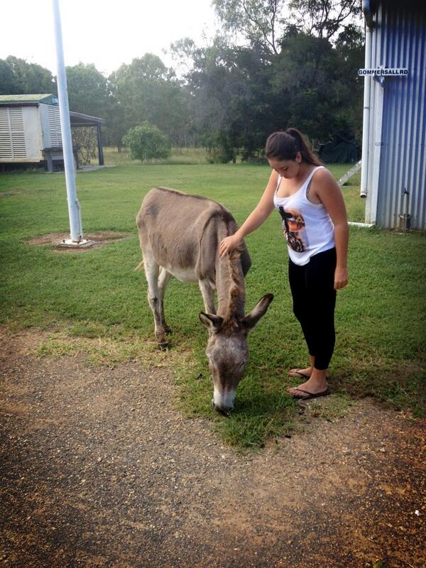 HusonTyler's tweet image. #myfrienddonkey