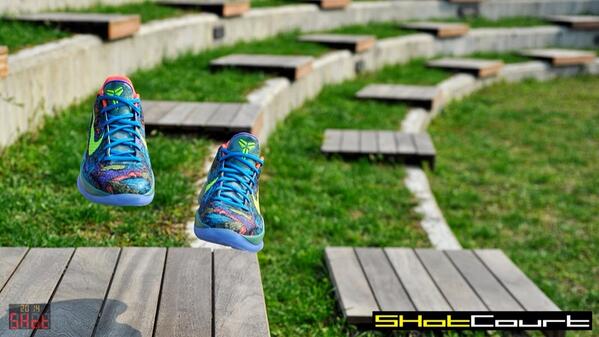 SHotCourt's tweet photo. Zoom Kobe VI Prelude

#SHotCourt #kicksintheair #KobeVI #Nike http://t.co/yBk0i8svym