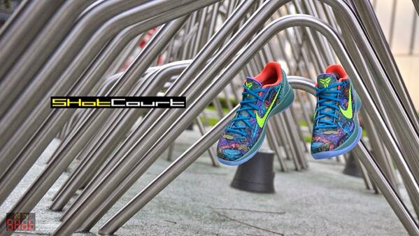 SHotCourt's tweet photo. Zoom Kobe VI Prelude

#SHotCourt #kicksintheair #KobeVI #Nike http://t.co/yBk0i8svym