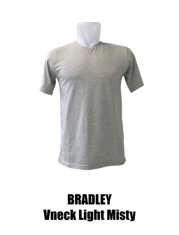 NEW !! Bradley vneck light misty