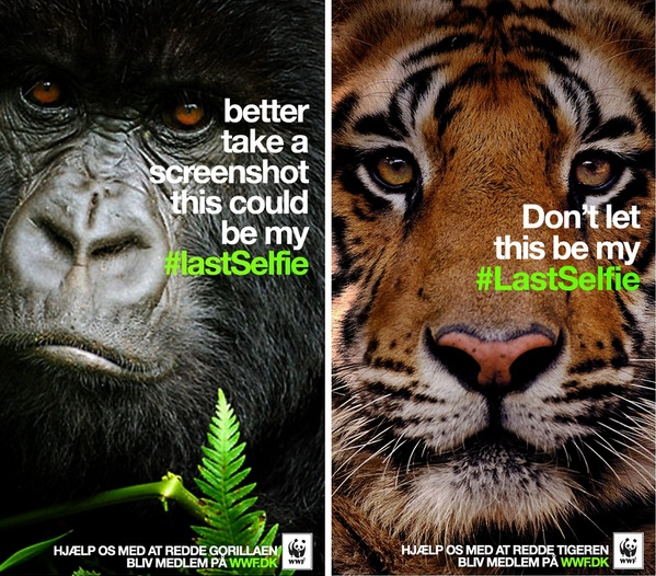 Utilisation parfaite de Snapchat pour sensibiliser à la disparition des animaux, bravo WWF : piwee.net/1wwf-campgne-p…
