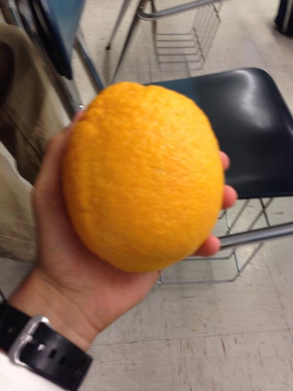 Volnjx_'s tweet image. The king of all oranges #ODev