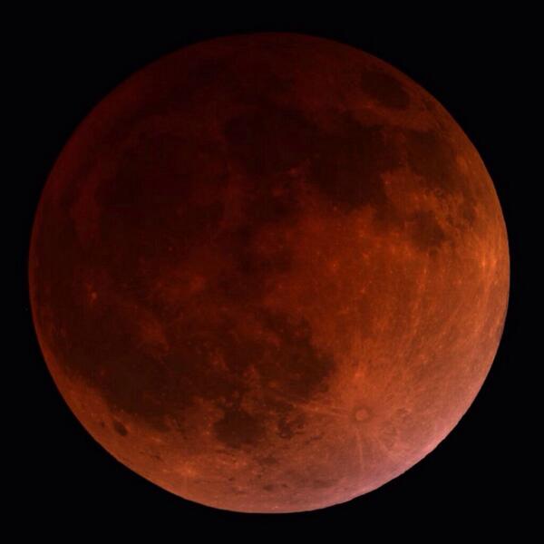 ofVerona's tweet image. As seen from the Mt Lemmon Skycenter

#BloodMoonEclipse #LunarEclipse #Eclipse2014