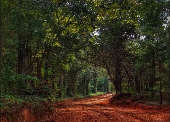 Beautiful Georgia on Twitter: "Red clay on the back roads of Augusta, GA. http://t.co/a1pIJXkMcU" Twitter