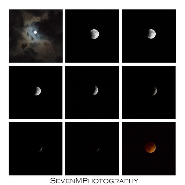 brysboo's tweet image. My #eclipse2014 and #BloodMoon2014 photos...