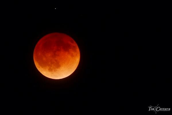 TimCatteraPhoto's tweet image. 1 more of #bloodmoon #Eclipse2014 @abcWNN @cnnbrk @nbcnightlynews @nbcbayarea @CalFireNews @NWSBayArea @NWS #eclipse