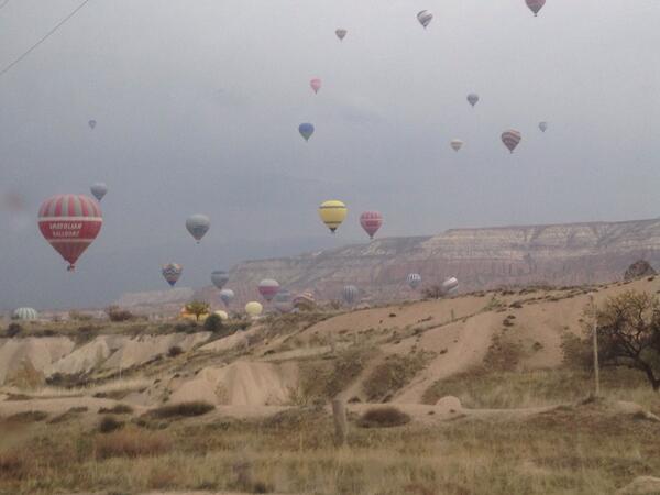 너무이뿌다!!새벽일찍일어난보람이잇넹
