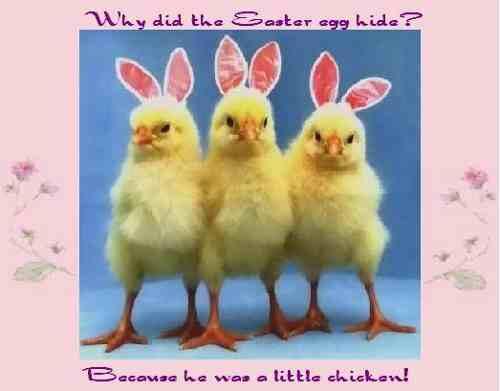 shootyou's tweet image. 