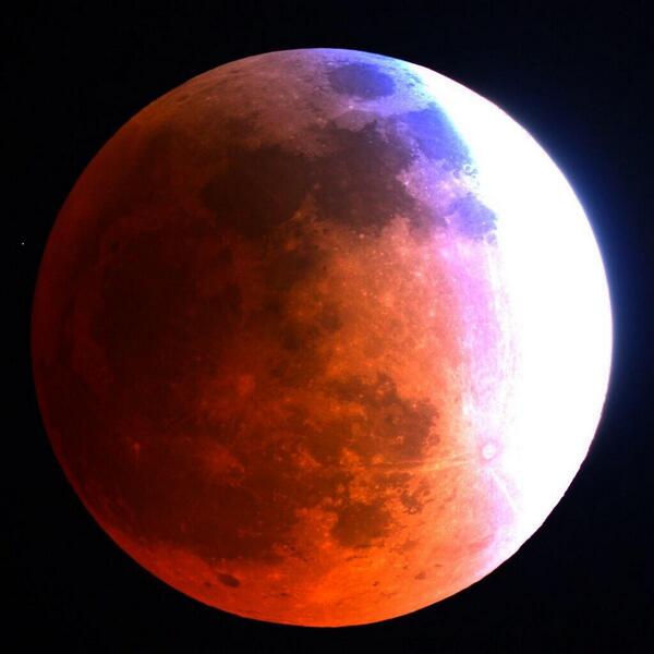 505_Games's tweet image. How many of you #Terraria players survived the Blood Moon last night?
