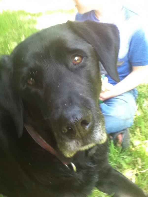 LukeRutt's tweet image. Jake