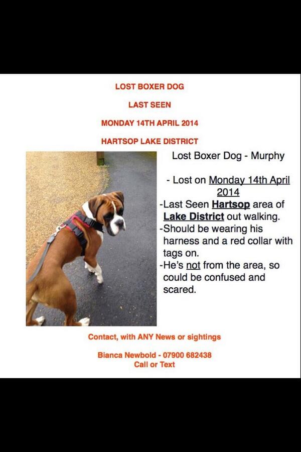 treblewinners99's tweet photo. @ChefTomKerridge please Rt to find Murphy thank you xx http://t.co/TDei14tSDL