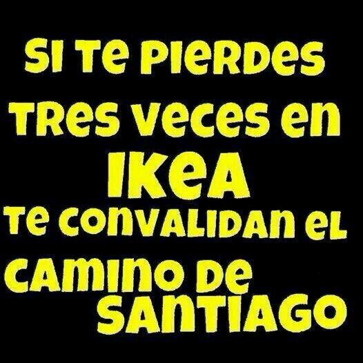 sorluciacaram's tweet image. 