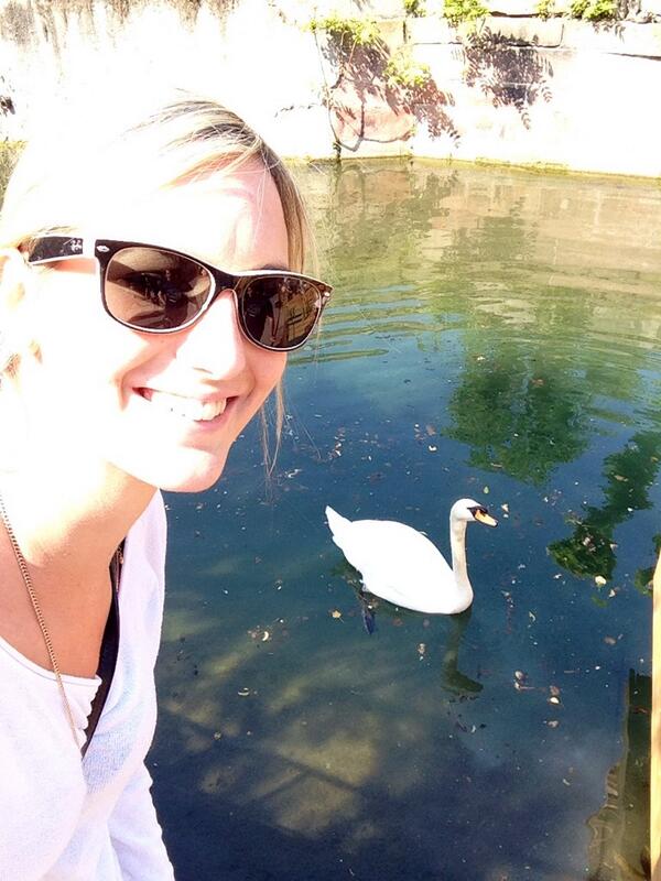 Cornelichen's tweet photo. Mein Kolleg an ech an der Petite Venice zu Colmar ;) #swanselfie #swan #selfie #colmar #petitevenice http://t.co/OWoDWkrClf