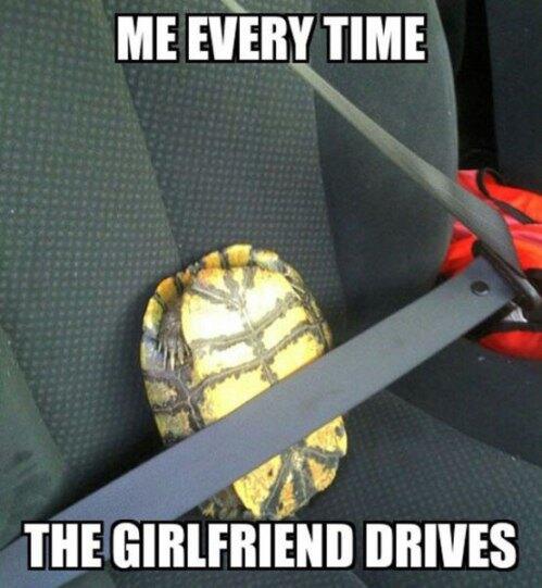 theCHIVE's tweet photo. Are we there yet? http://t.co/51hFRjG3IR