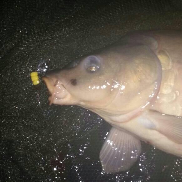 Paul Mills tweet media