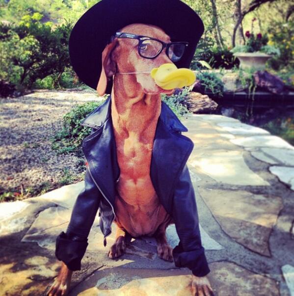E_Spotlight's tweet photo. #QUACK #QuackIsBack @DuckSauceNYC @atrak @armandvanhelden http://t.co/a56OX8VfDW