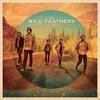 borisoks's tweet image. I just recognized #GotItWrong by #TheWildFeathers using #iDBrowserApp. idbrowser.com/?rk=2:track!52…