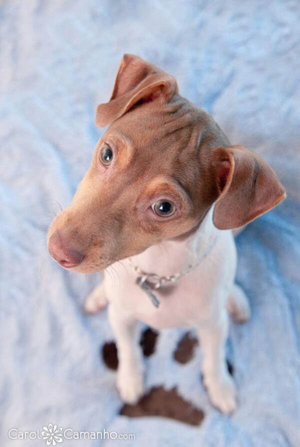 cuteattack_'s tweet image. 