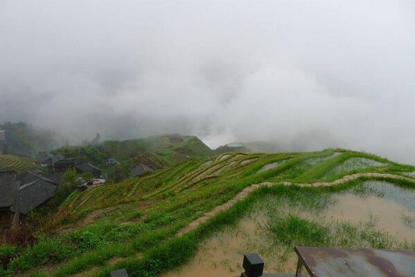 Flymeled's tweet image. Longji Terraces .so amazing